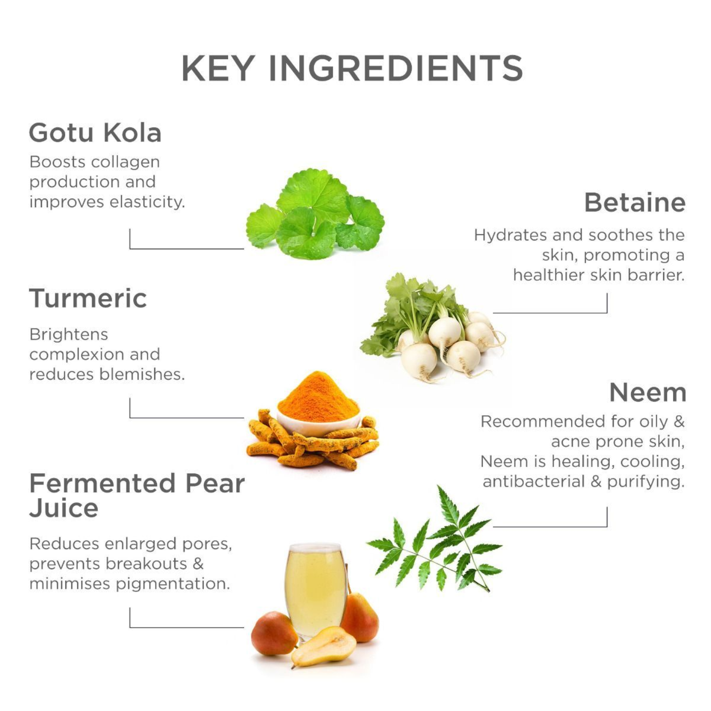 Forest Essentials Balancing Night Cream with Gotu Kola, Neem & Pear Juice Ferment - Totally Indian