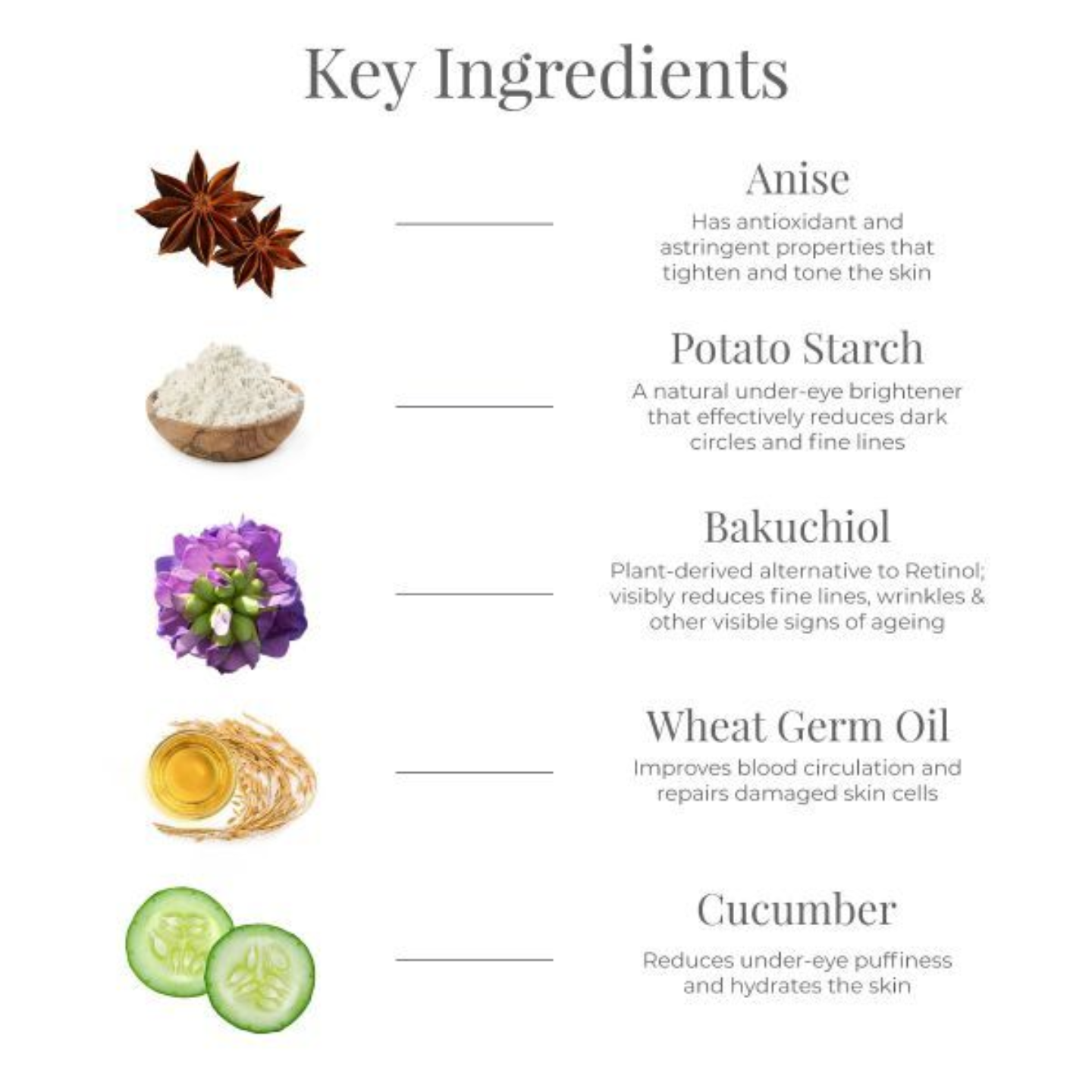 Forest Essentials Intensive Under Eye Cream Anise, Niacinamide & Hyaluronic Acid - Totally Indian