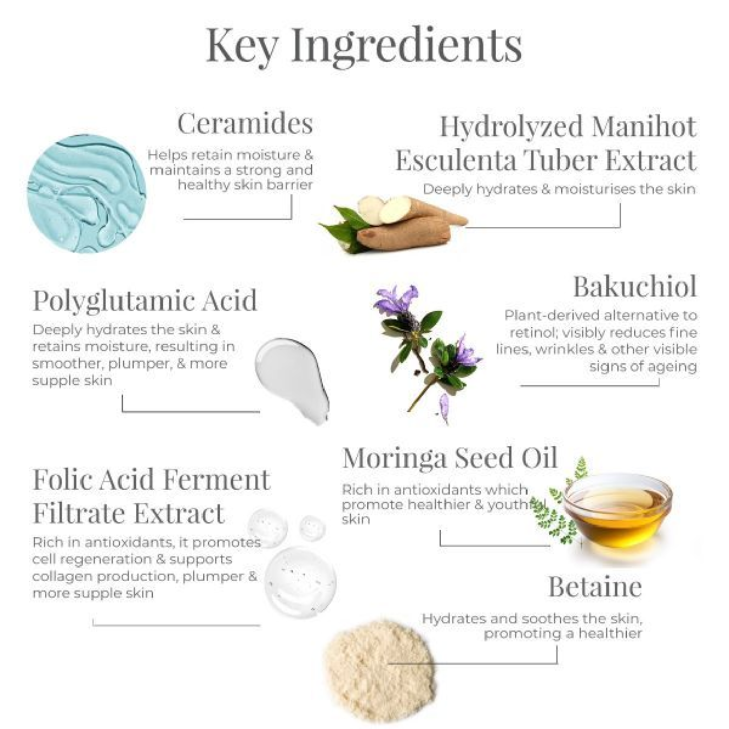 Forest Essentials Transformative Soundarya Night Cream With 24K Gold - Totally Indian