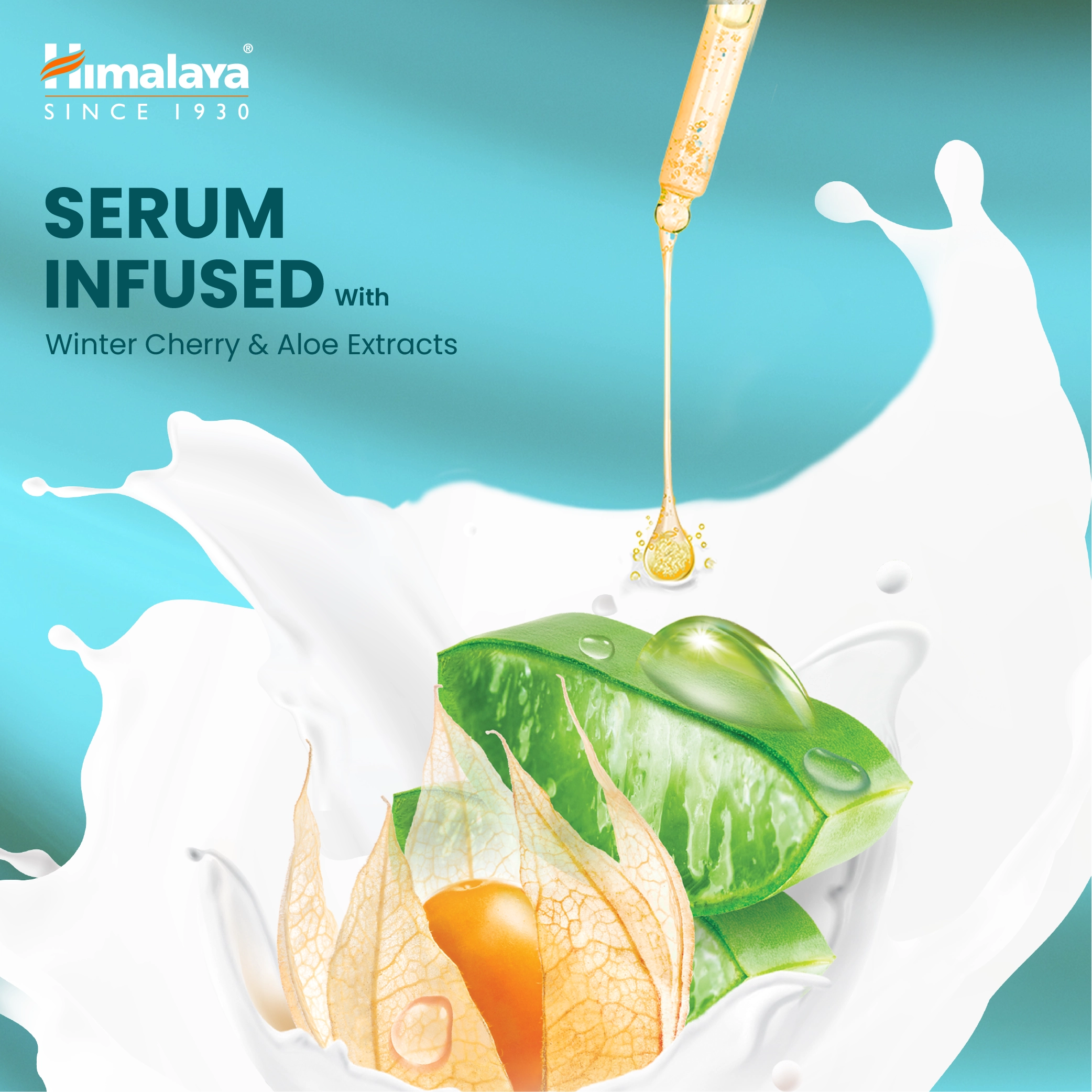 Product image 4 | Indian product Online Shopping Store
