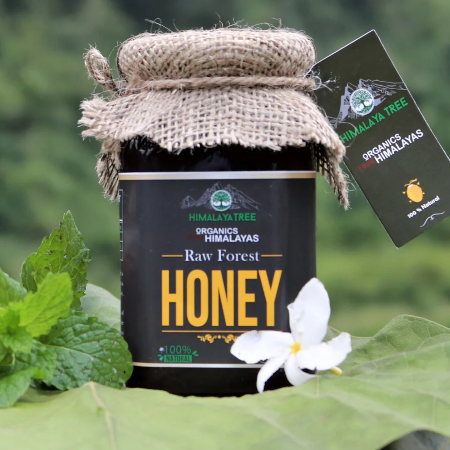 Himalaya Tree Raw Forest Honey - Totally Indian