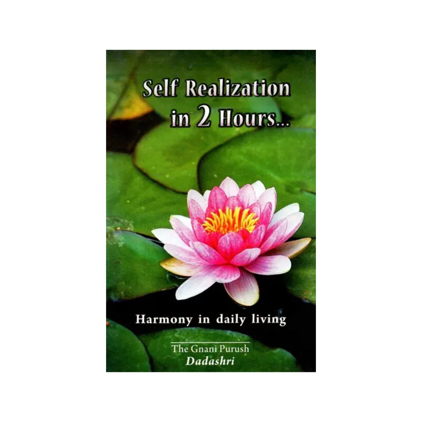 Self Realization In 2 Hours- Harmony In Daily Living - Totally Indian