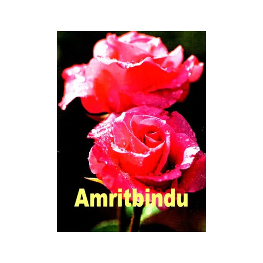 Amritbindu - Totally Indian