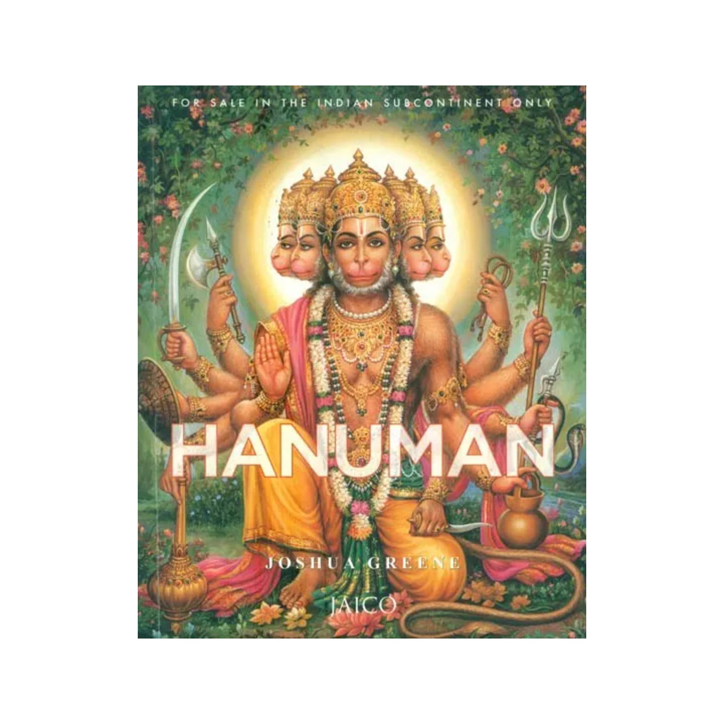 Hanuman- The Heroic Monkey God - Totally Indian