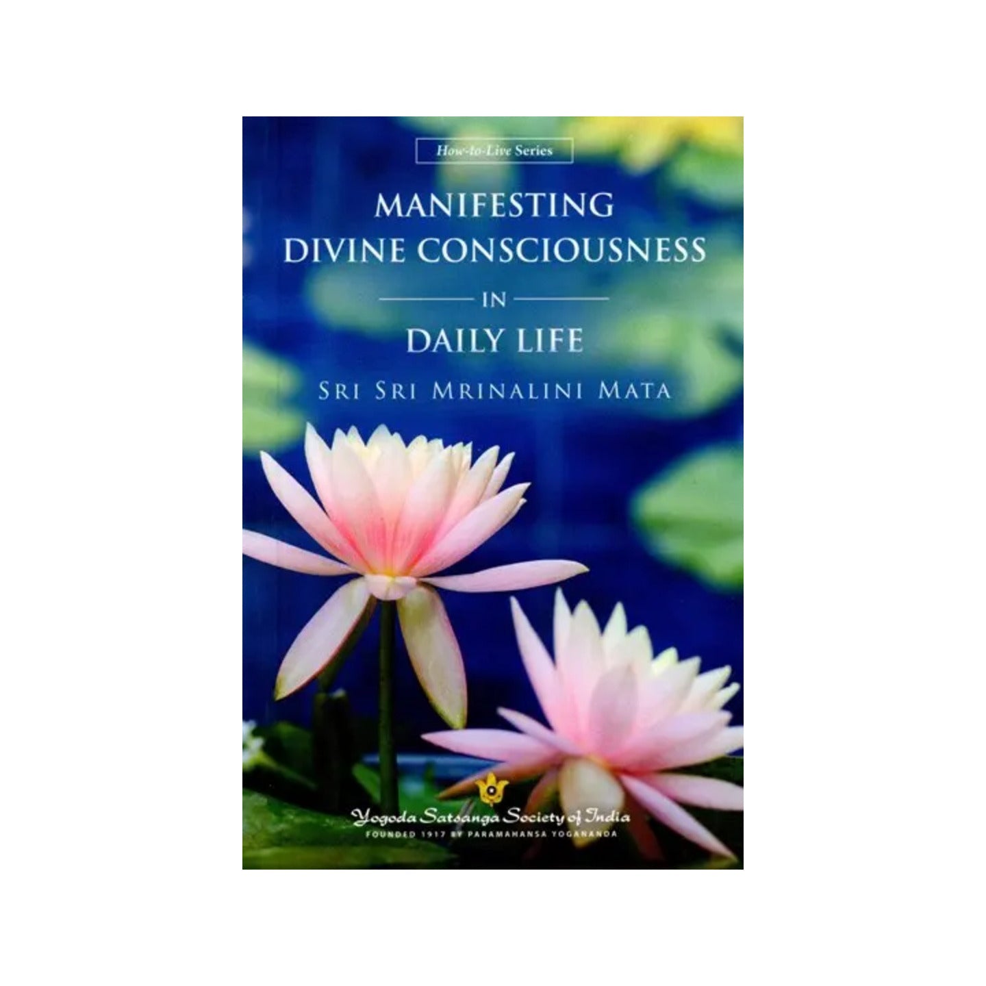 Manifesting Divine Consciousness In Daily Life - Totally Indian