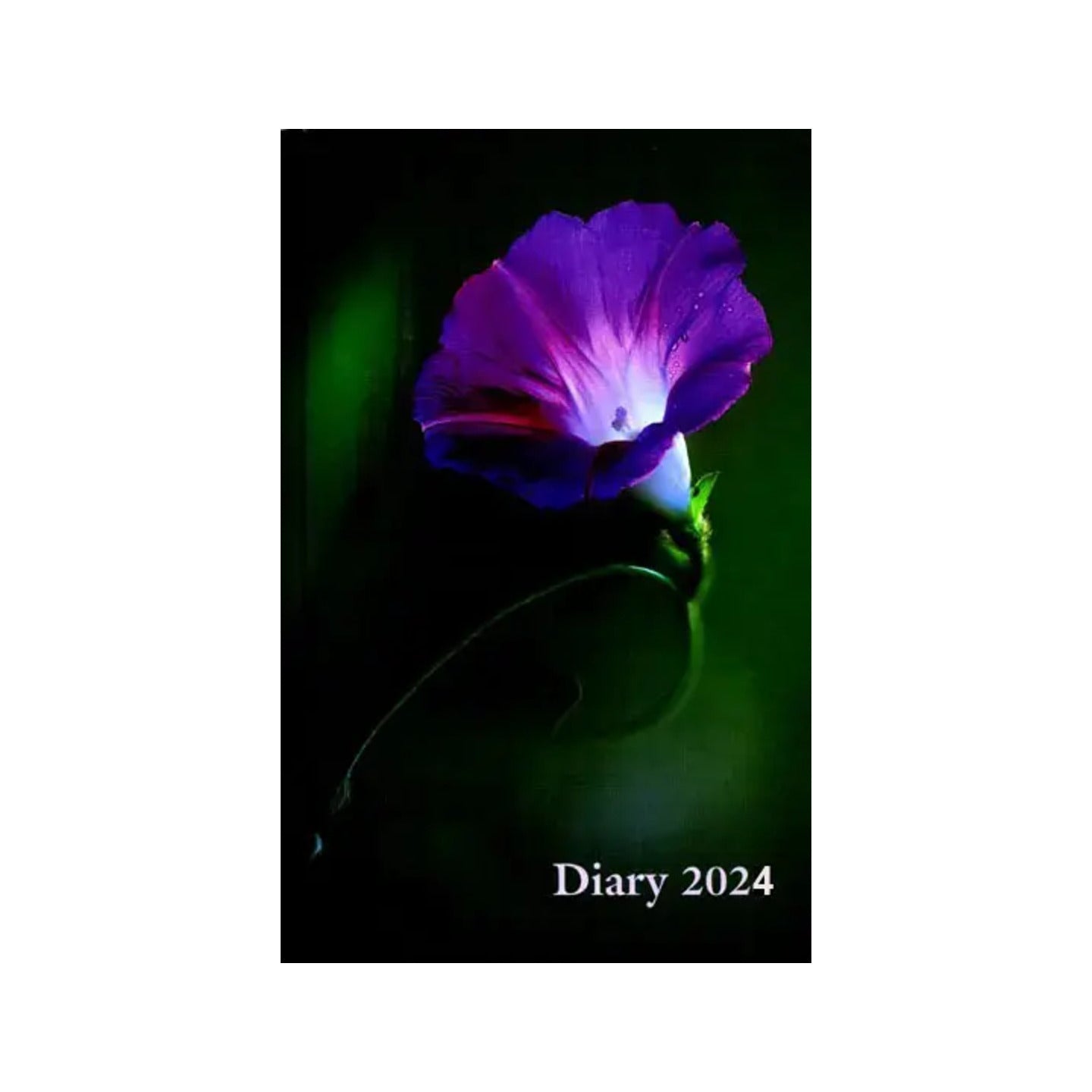 Diary 2024 (Selections From The Writings Of The Mother) - Totally Indian