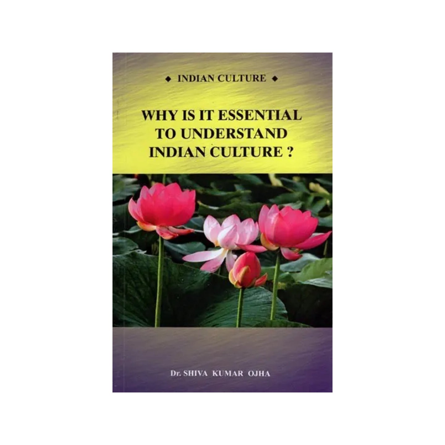 Why Is It Essential To Understand Indian Culture ? - Totally Indian