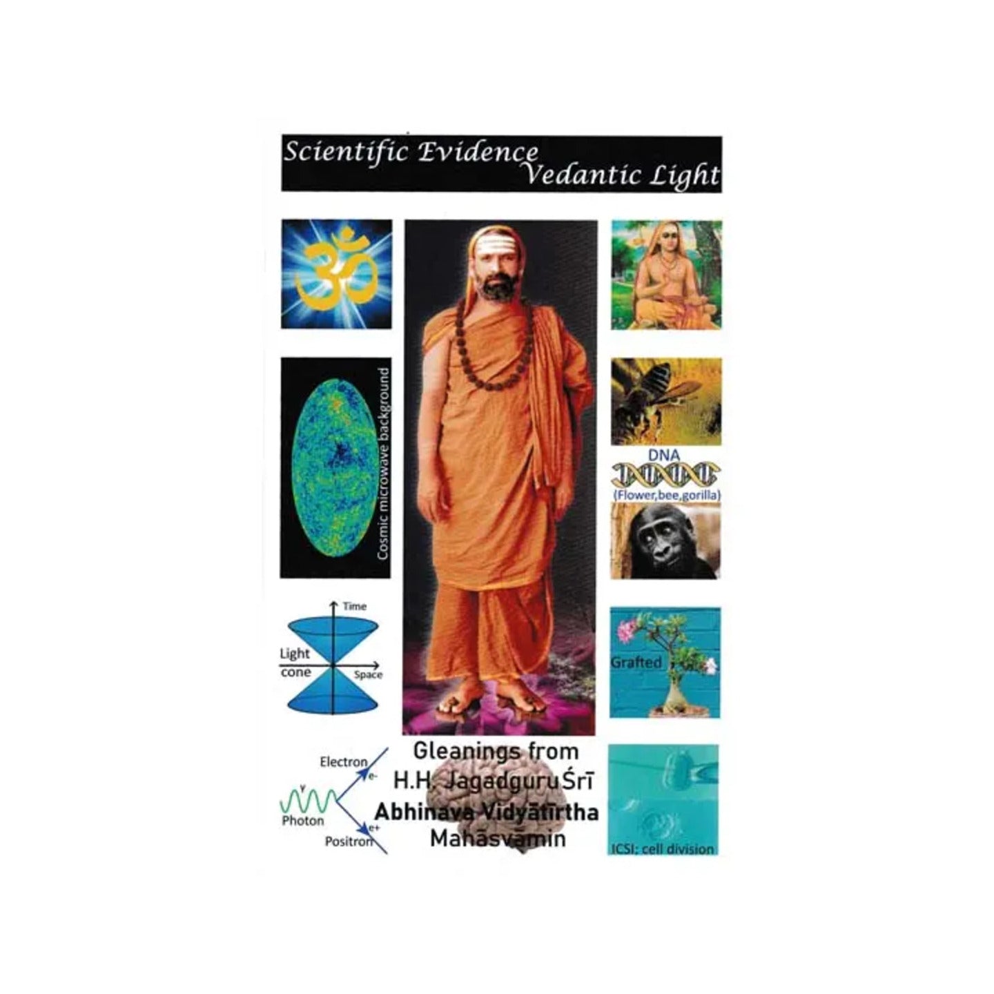 Scientific Evidence Vedantic Light: Gleanings From His Holiness Jagadguru Sri Abhinava Vidyatirtha Mahasvamin - Totally Indian