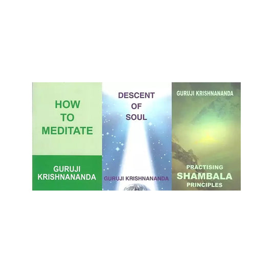 3 Books On Meditation By Swami Krishnananda - Totally Indian