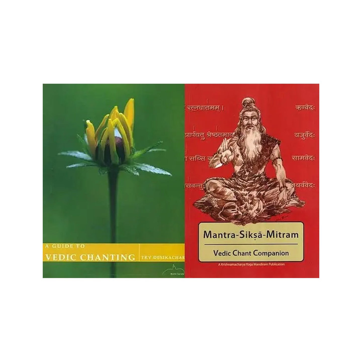 Vedic Chanting Clearly Explained (Set Of Two Books) - Totally Indian