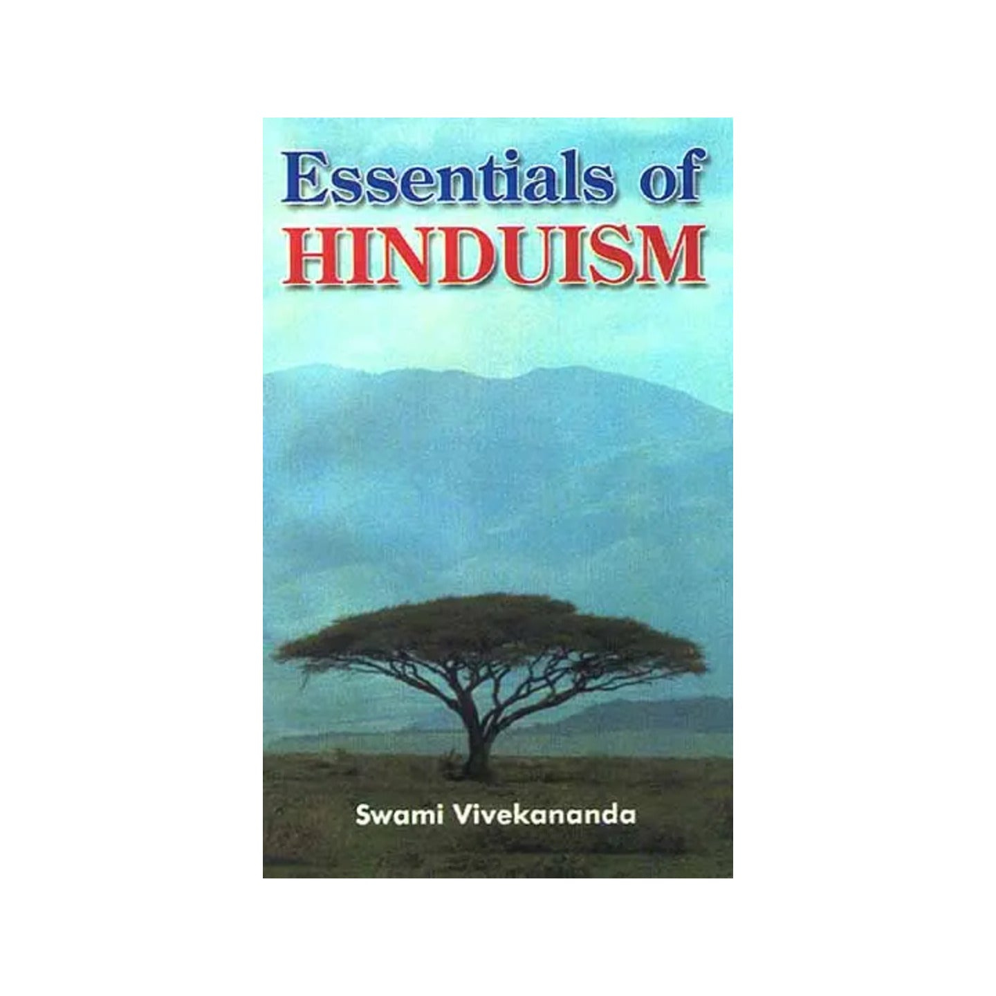 Essentials Of Hinduism - Totally Indian