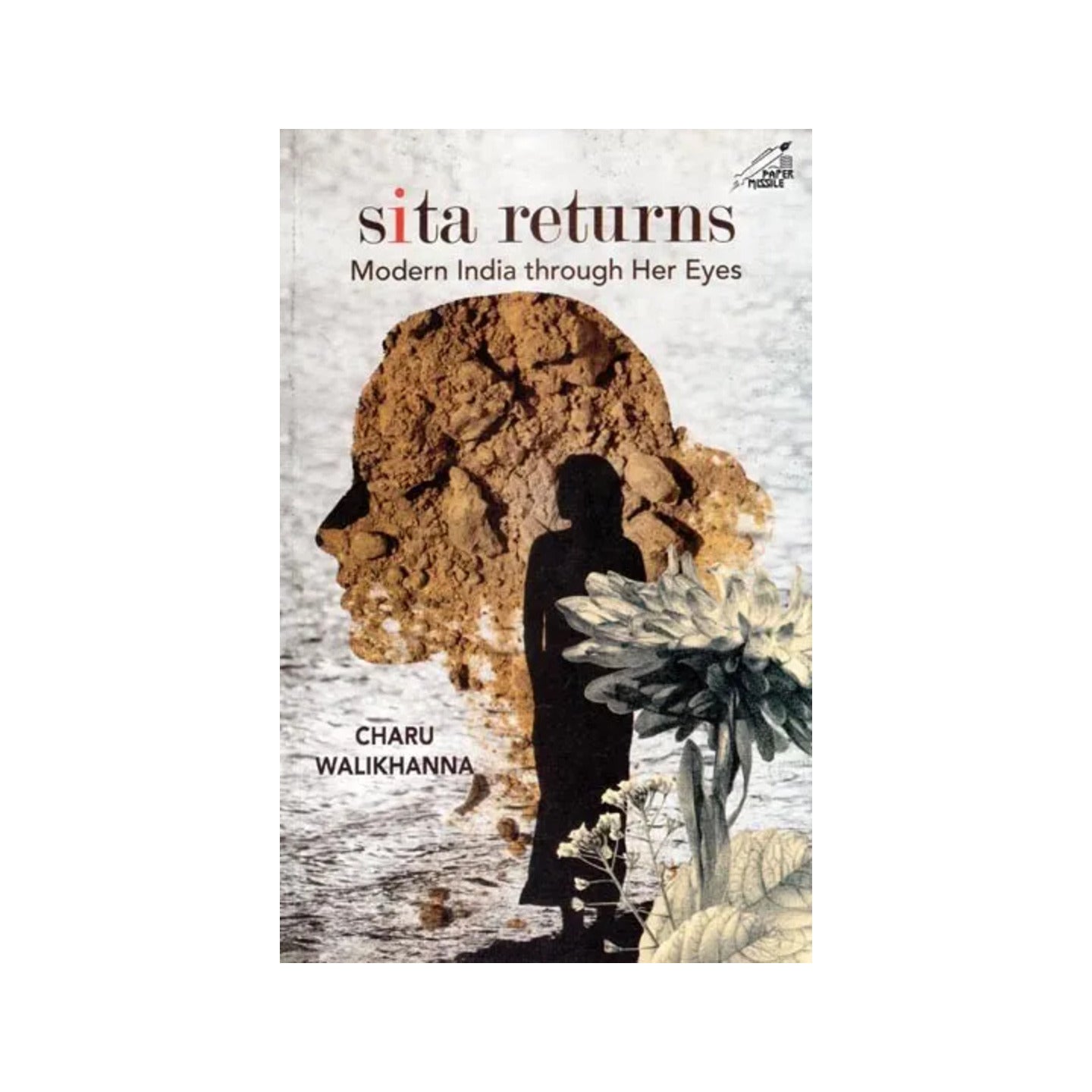 Sita Returns- Modern India Through Her Eyes - Totally Indian