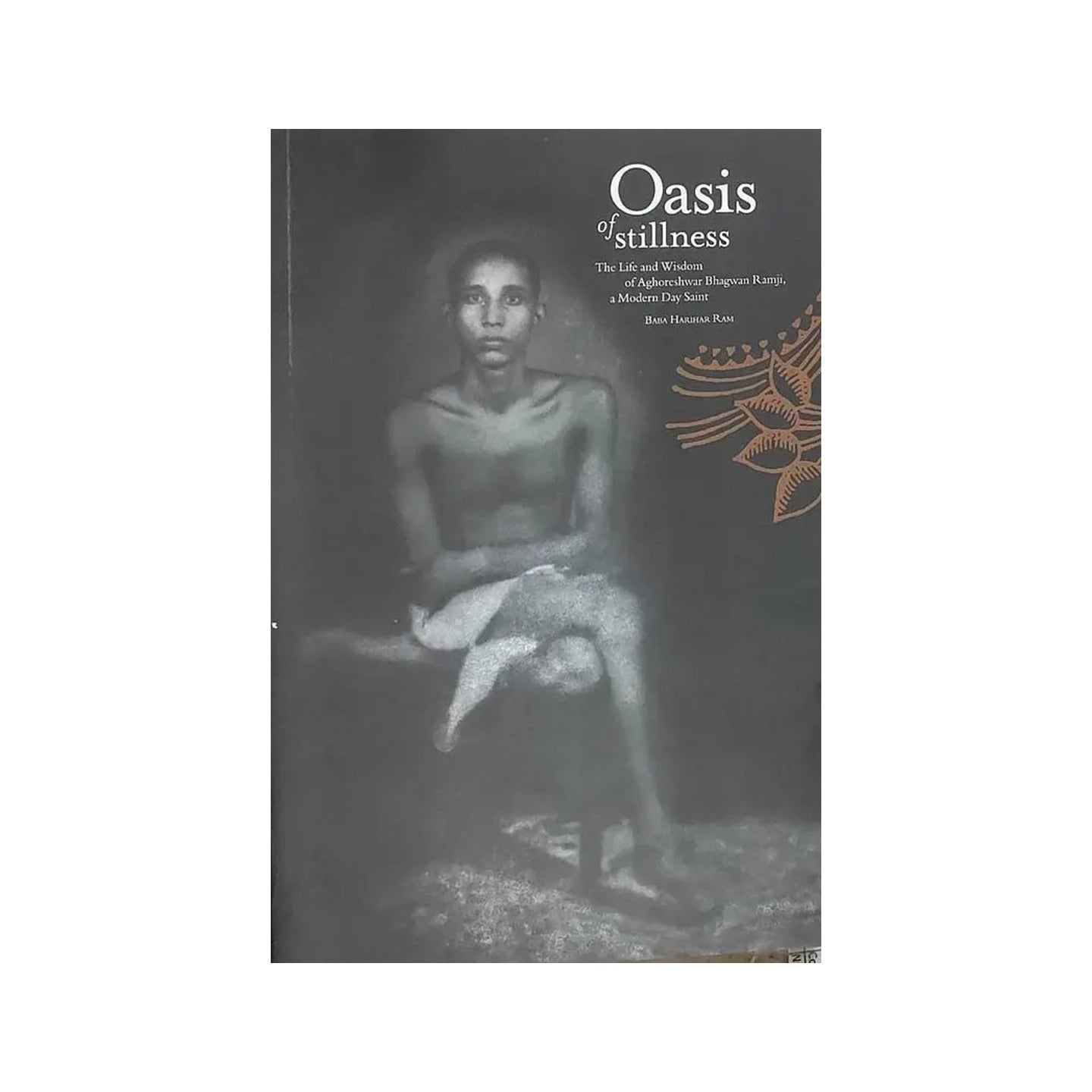 Oasis Of Stillness - Totally Indian