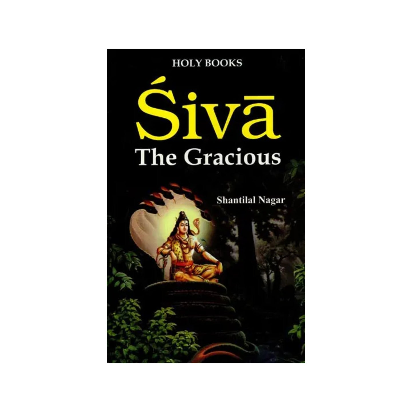 Siva (Shiva The Gracious) - Totally Indian