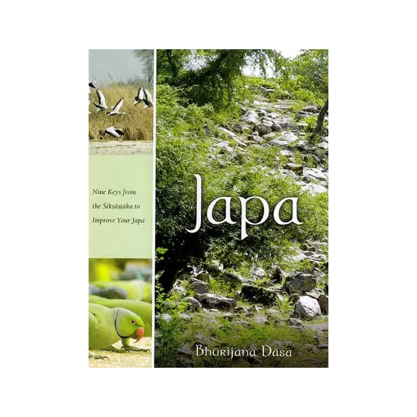 Japa: Nine Keys From The Siksastaka To Improve Your Japa - Totally Indian