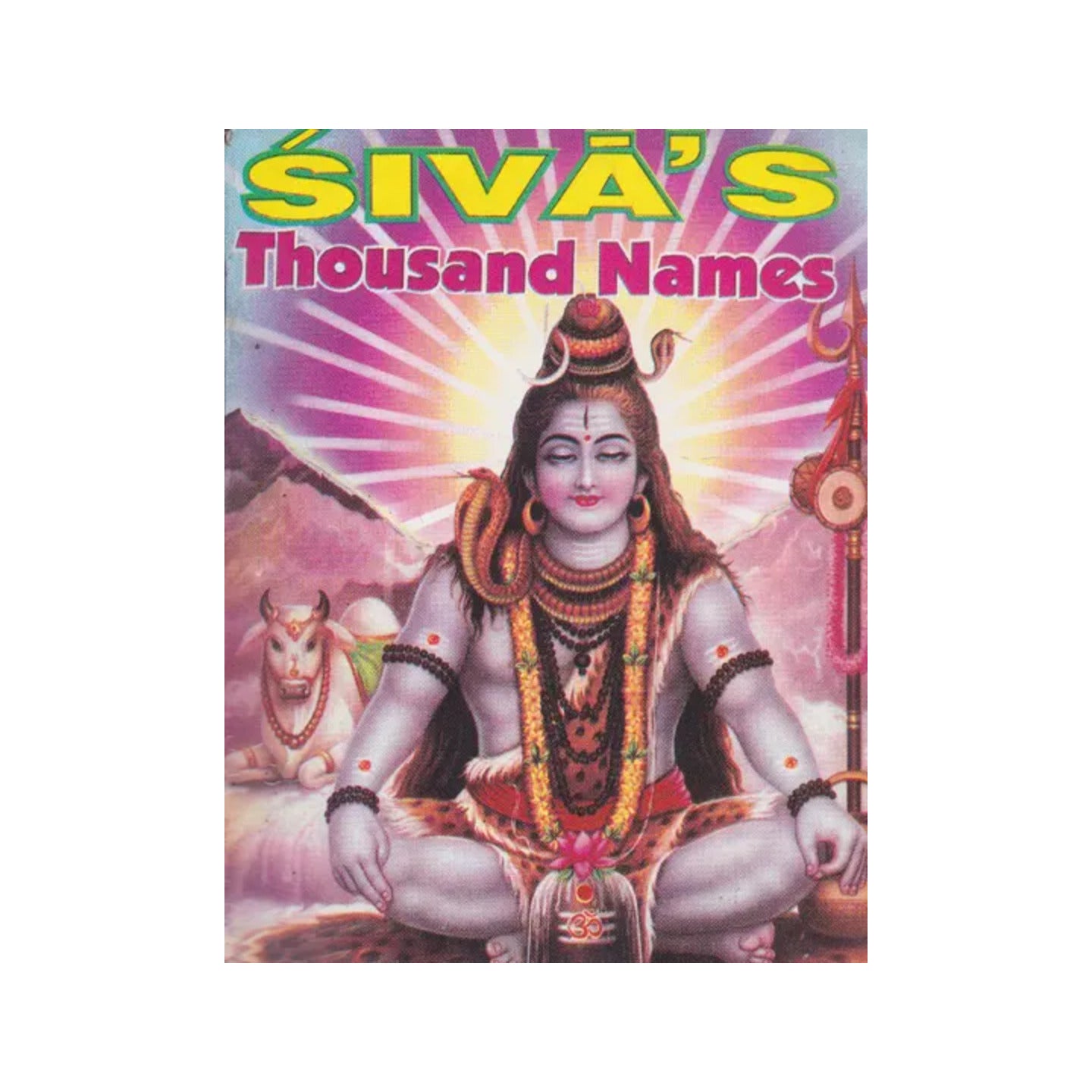 Siva's Thousand Names - Totally Indian