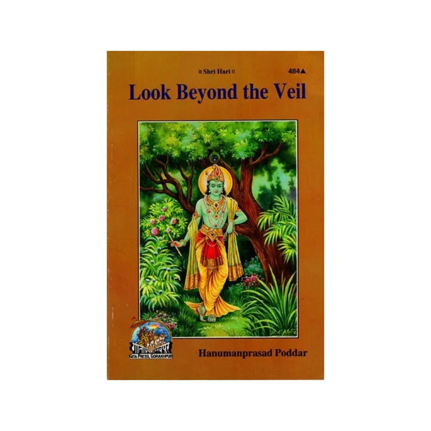 Look Beyond The Veil - Totally Indian