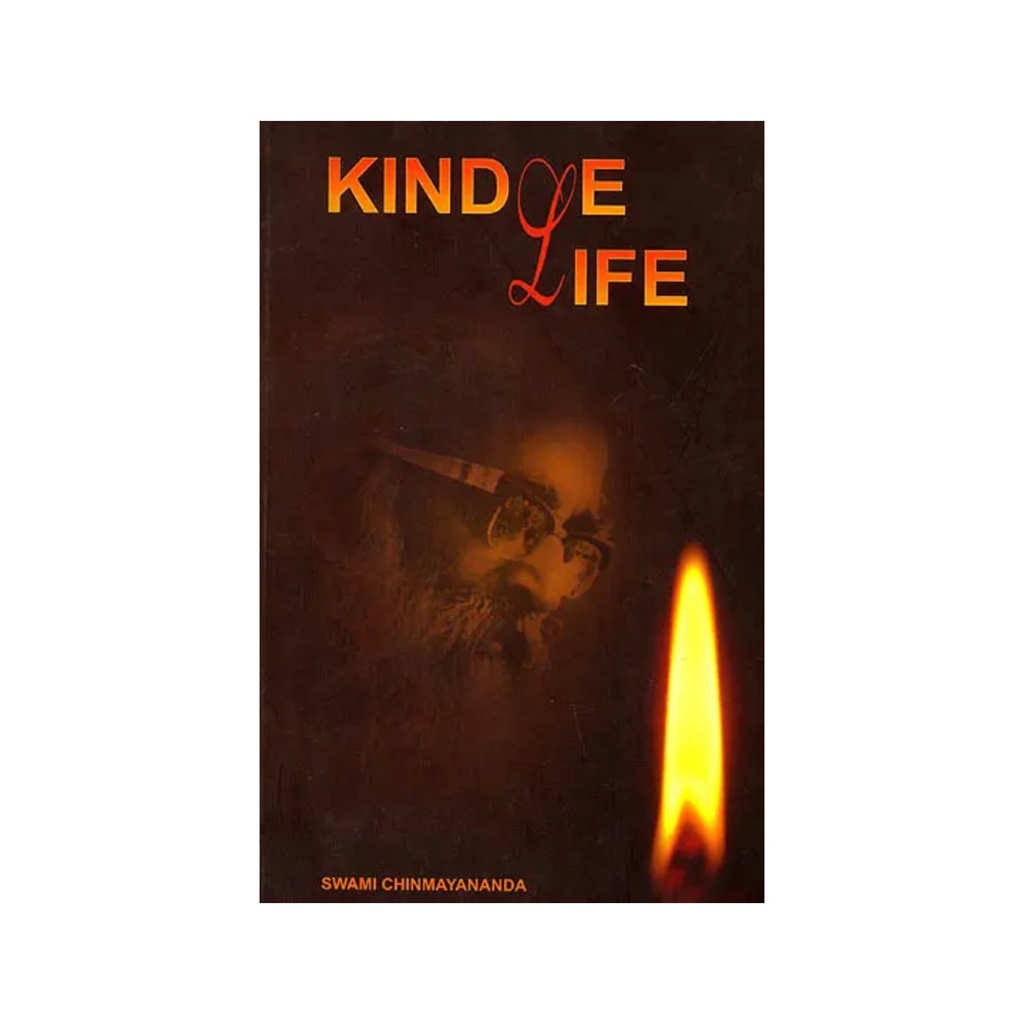 Kindle Life - Totally Indian