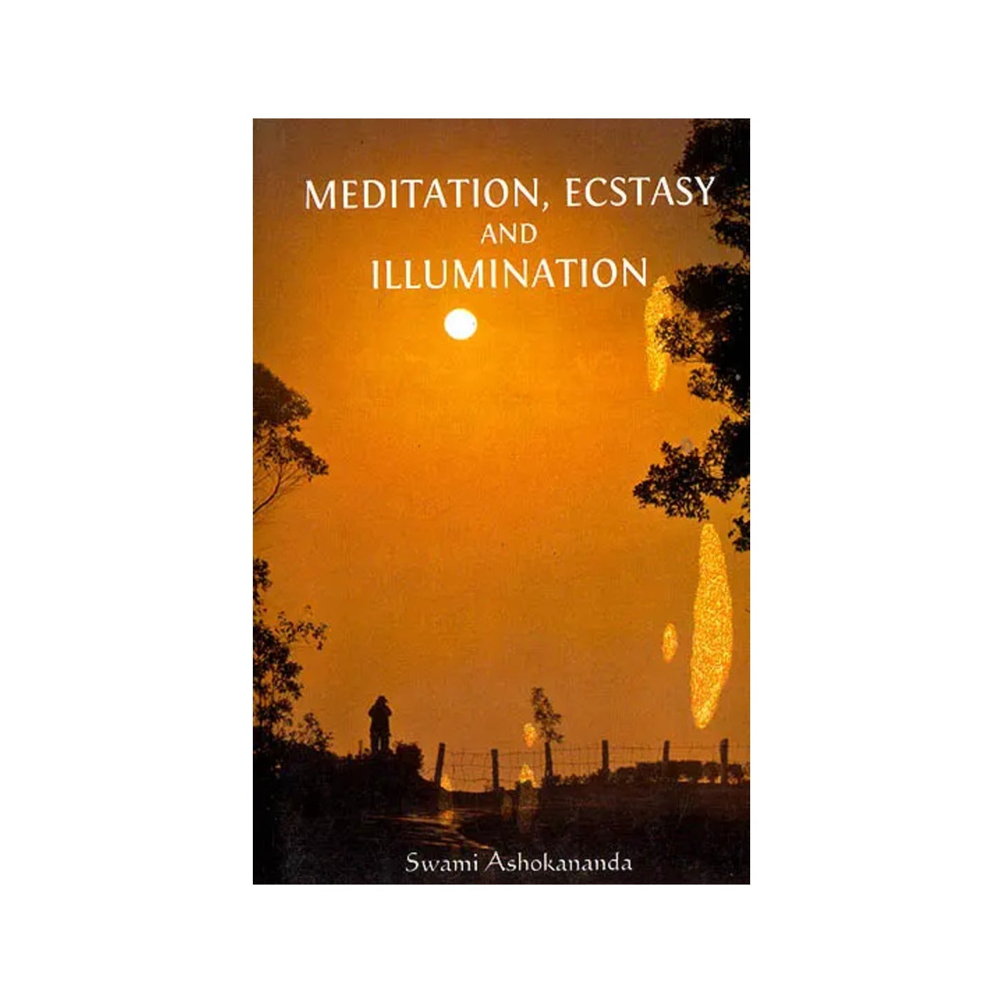 Meditation, Ecstasy And Illumination (An Overview Of Advaita) - Totally Indian