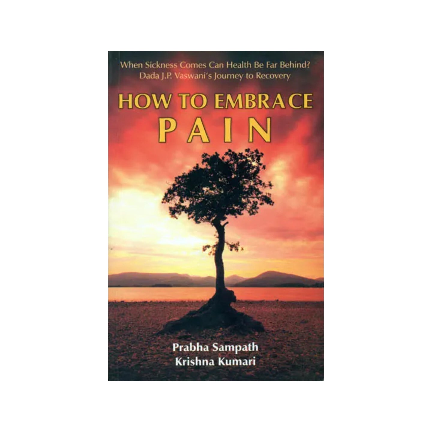 How To Embrace Pain - Totally Indian