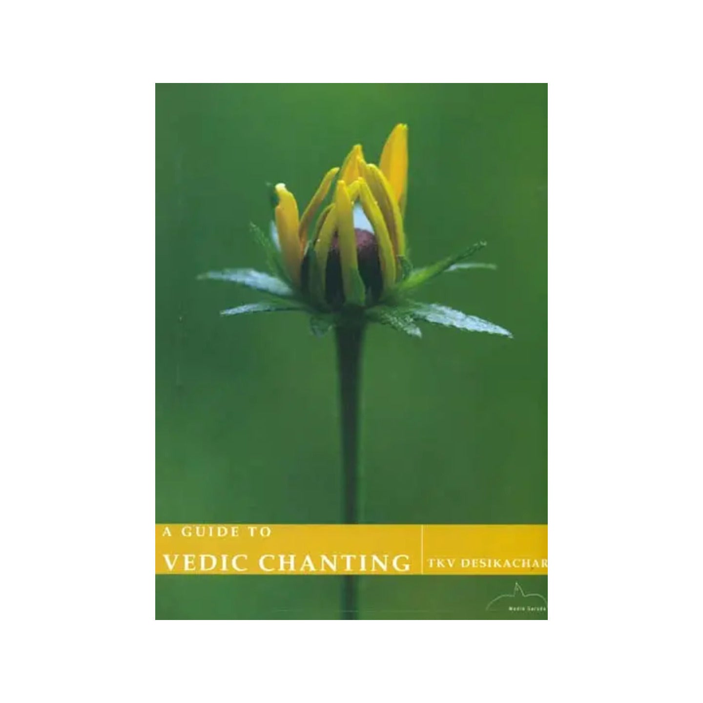 A Guide To Vedic Chanting - Totally Indian