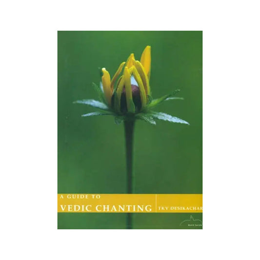 A Guide To Vedic Chanting - Totally Indian