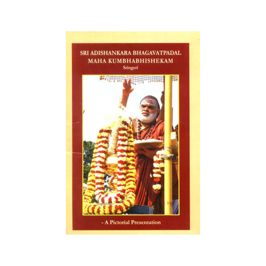 Sri Adishankara Bhagavatpadal Maha Kumbhabhishekam - Sringeri (A Pictorial Presentation) - Totally Indian