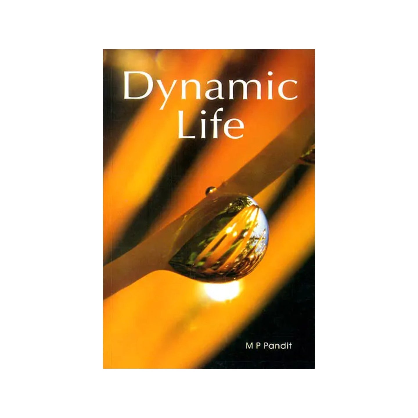 Dynamic Life - Totally Indian