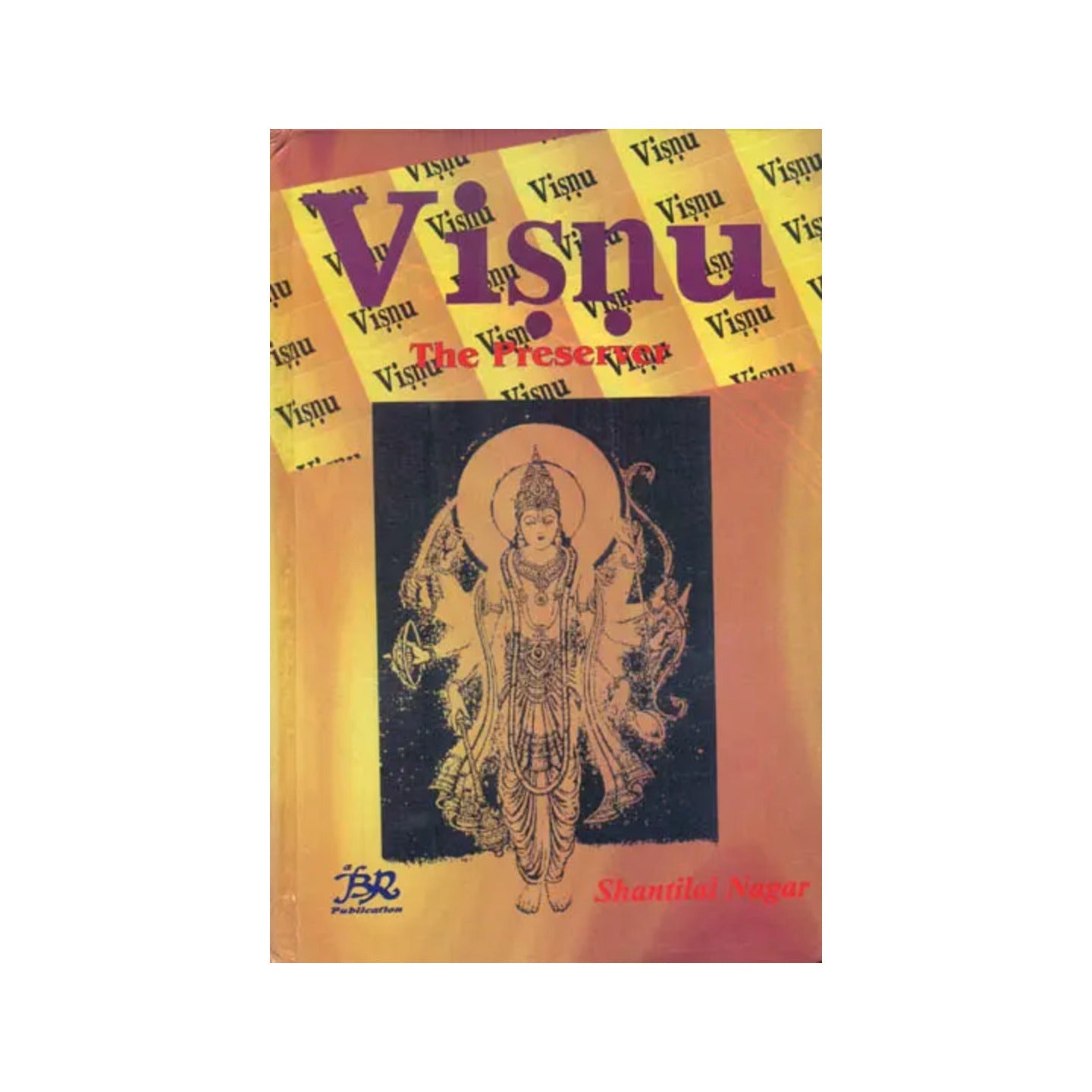 Visnu (The Preserver) - Totally Indian