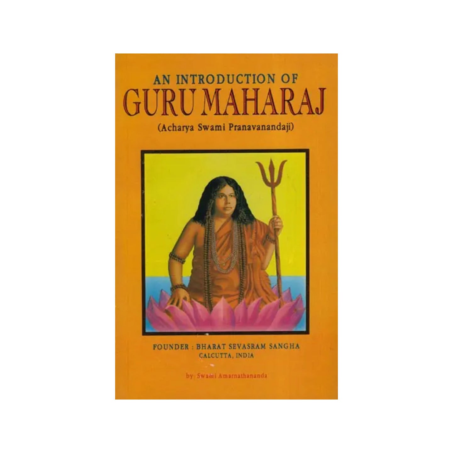 An Introduction Of Guru Maharaj (Acharya Swami Pranavananda Ji) - Totally Indian