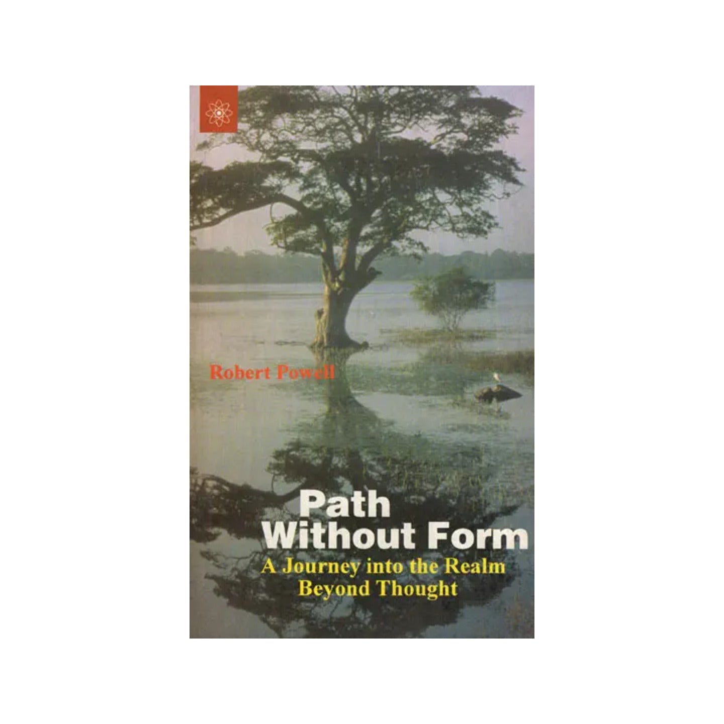 Path Without Form (A Journey Into The Realm Beyond Thought) - Totally Indian