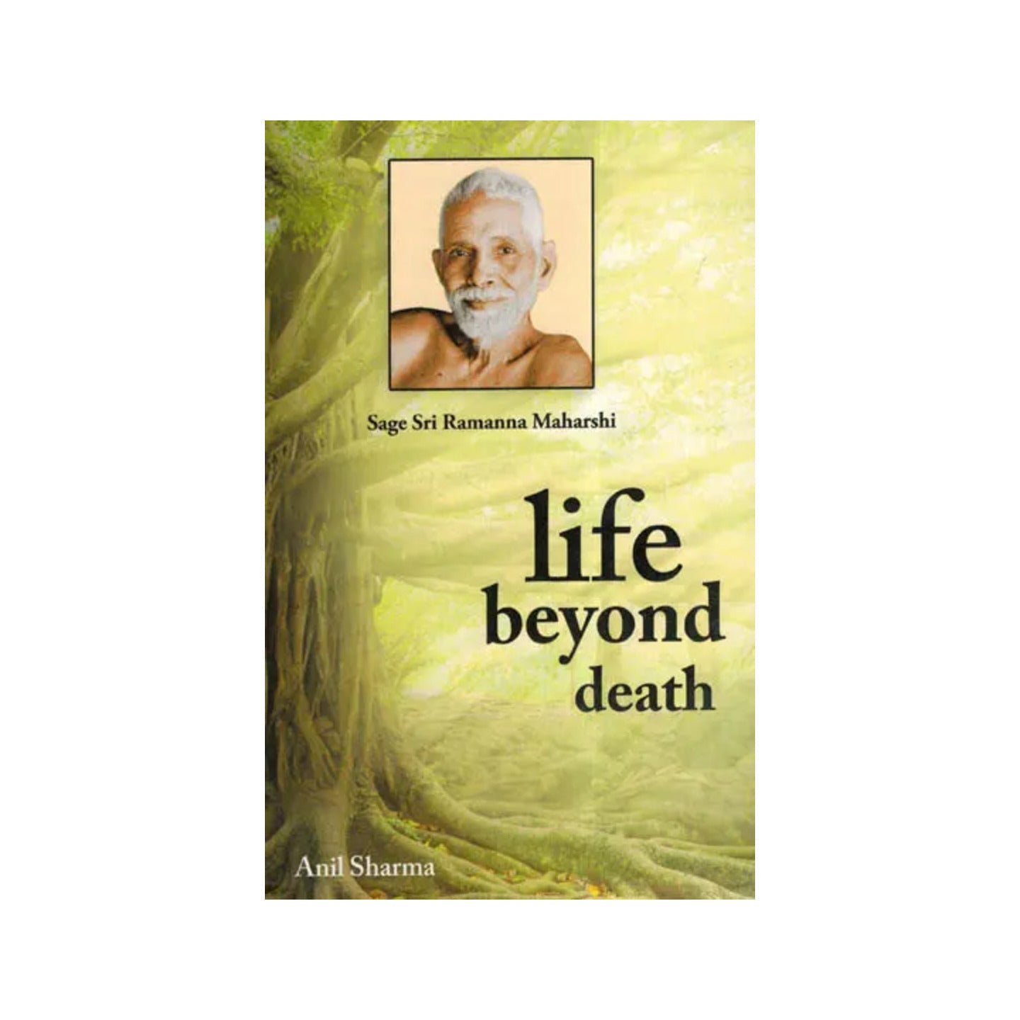 Life Beyond Death - Totally Indian