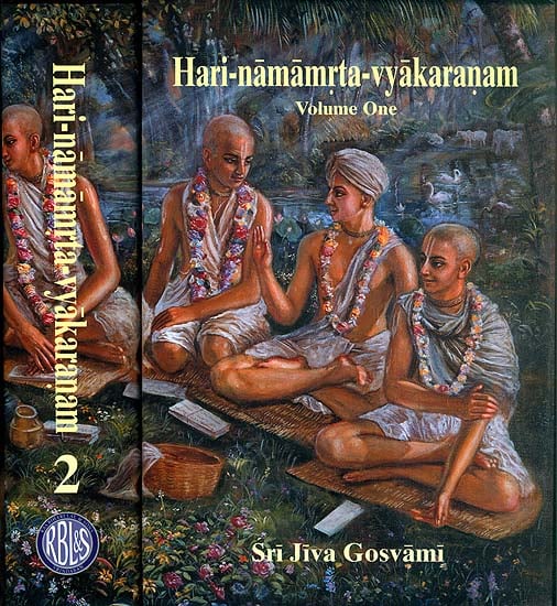 Hari Namamrta Vyakaranam - Learn Sanskrit Grammar Through the Names of Krishna (Set of 2 Volumes) - Totally Indian