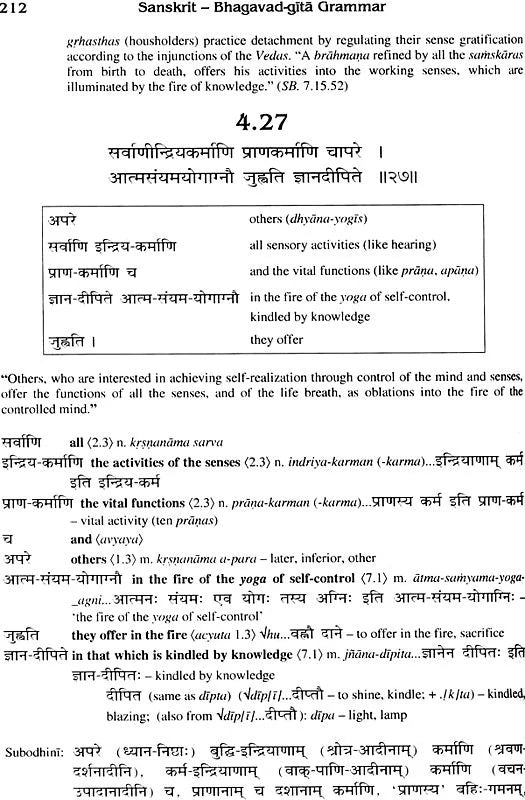 Sanskrit Bhagavad Gita Grammar (Set of 3 Volumes23) - Totally Indian